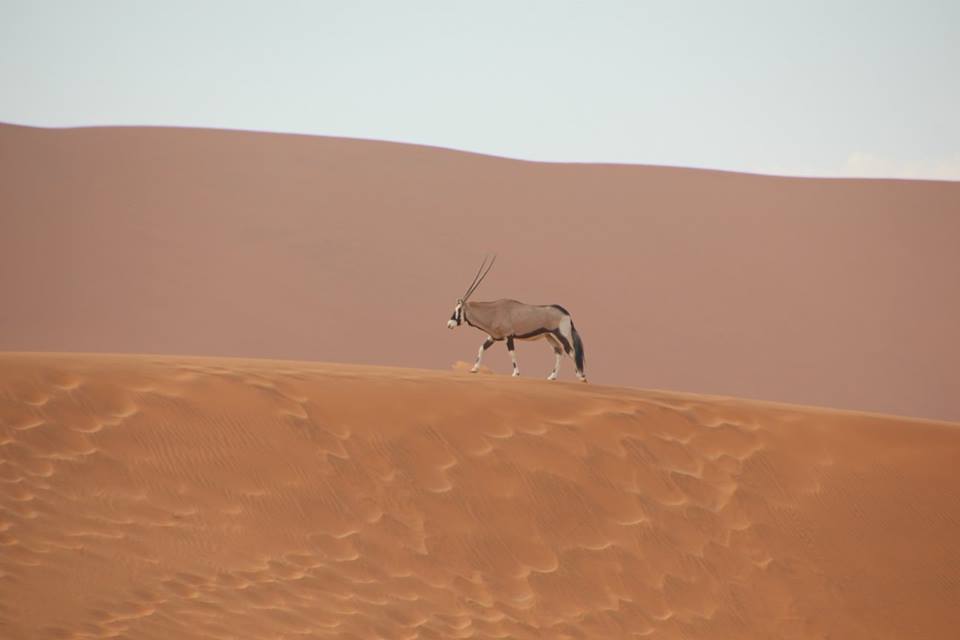 Deadvlei Namibia