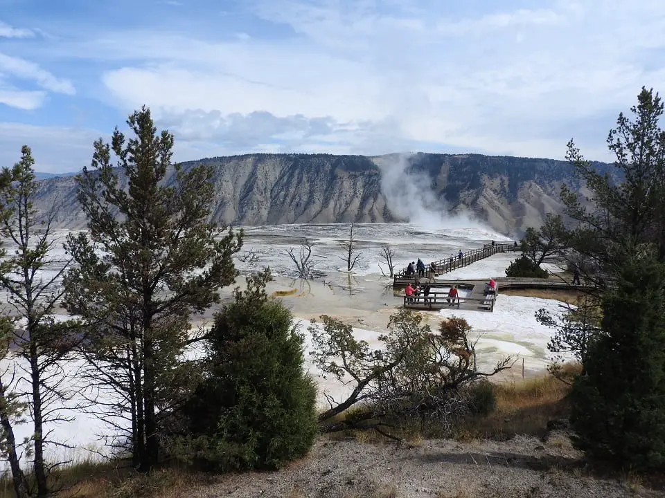 visiting Yellowstone