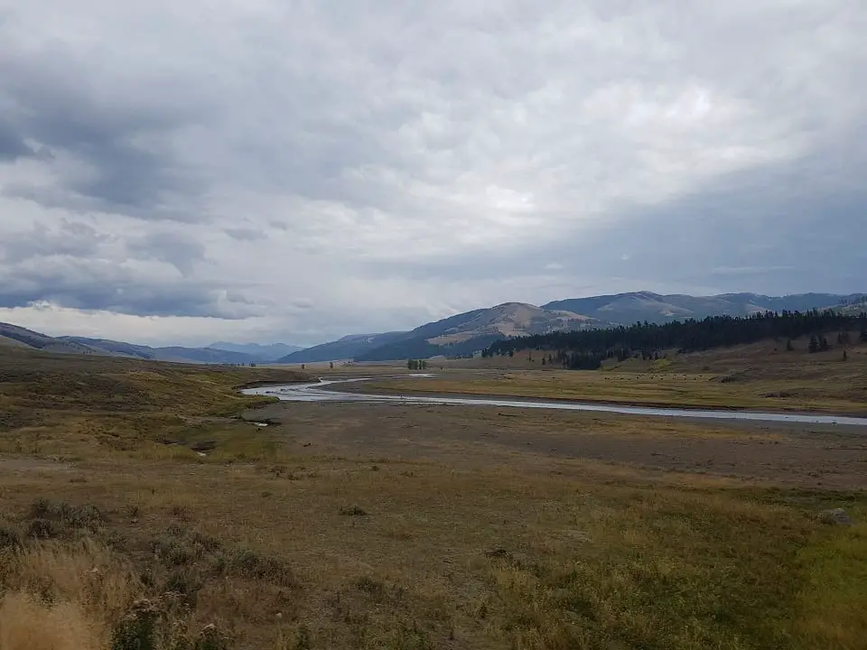 visiting Yellowstone