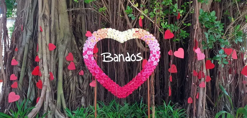 Review of Bandos Maldives