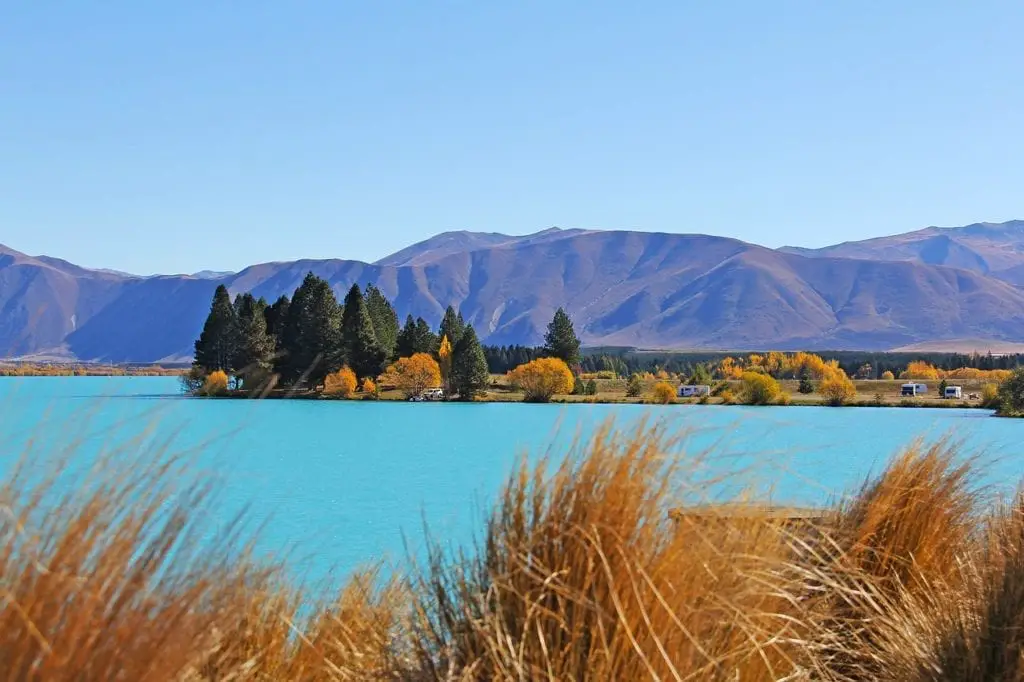 reasons to visit New Zealand