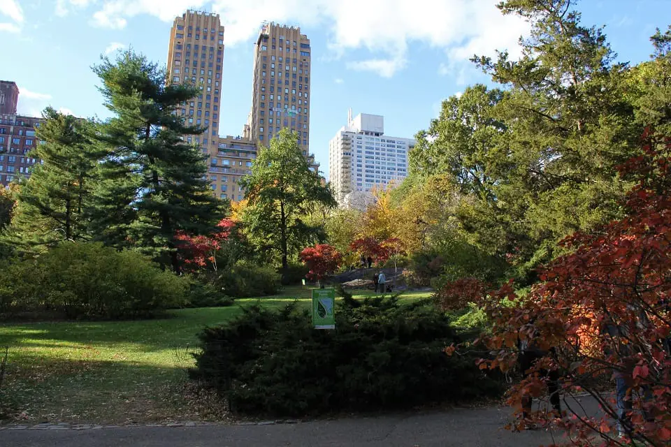 green space of central park