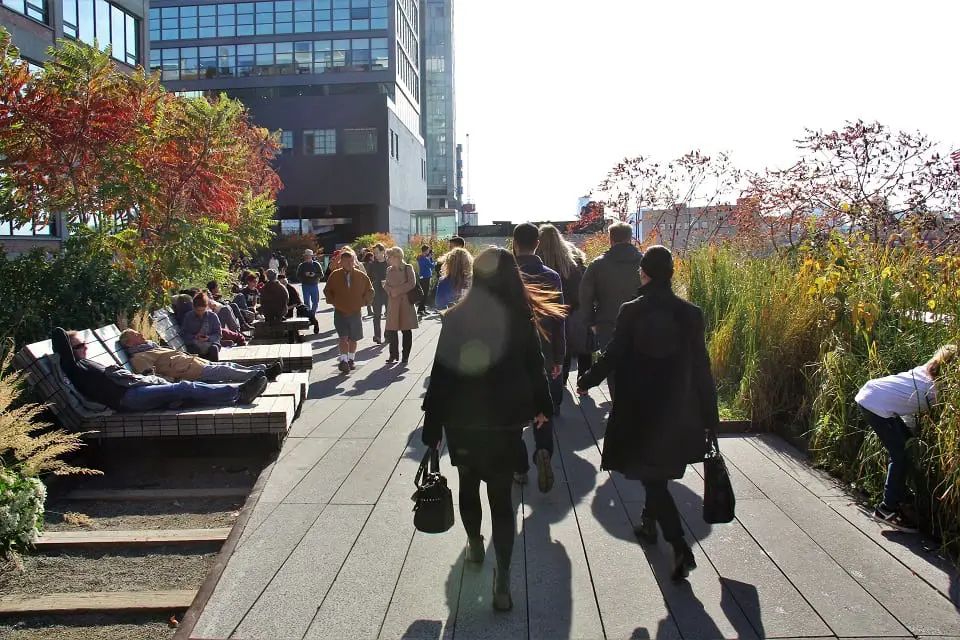 walking roof top on the highline trail