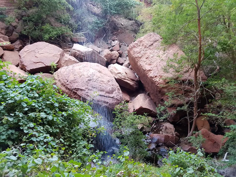 one day in Zion National Park