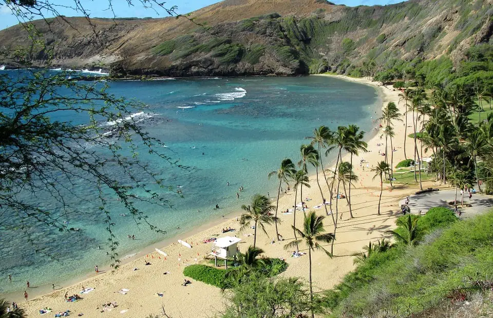 drive around Oahu