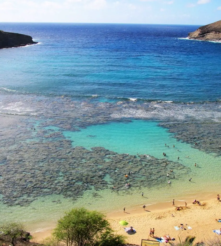 drive around Oahu