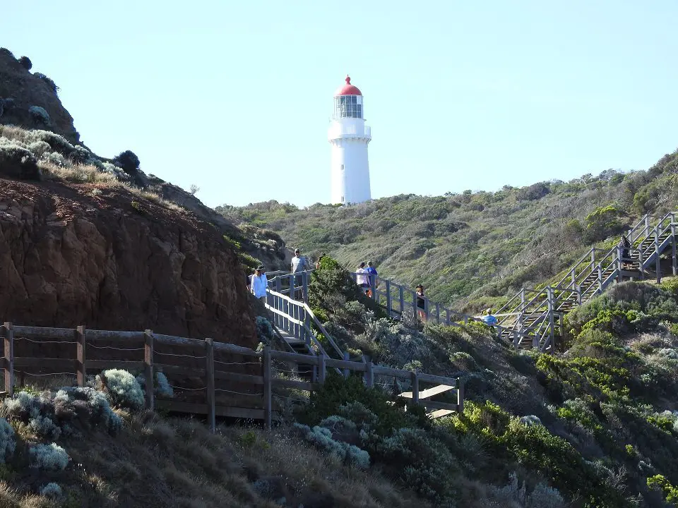 looking up to a light house on the hill and board walk in the foreground - Mornington Peninsula Day Trip
