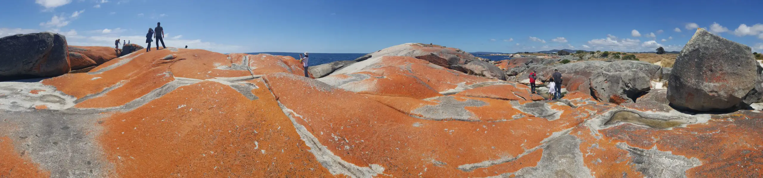 bright orange rocks in Bay of Fires,