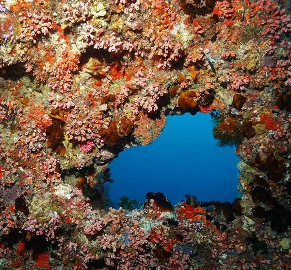 Feydhoo Caves- Bandos island diving
