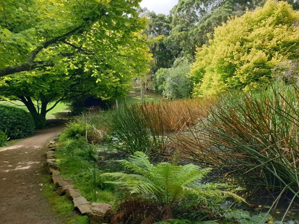 Mornington Peninsula Day trip - gardens of ferns and shrubs 