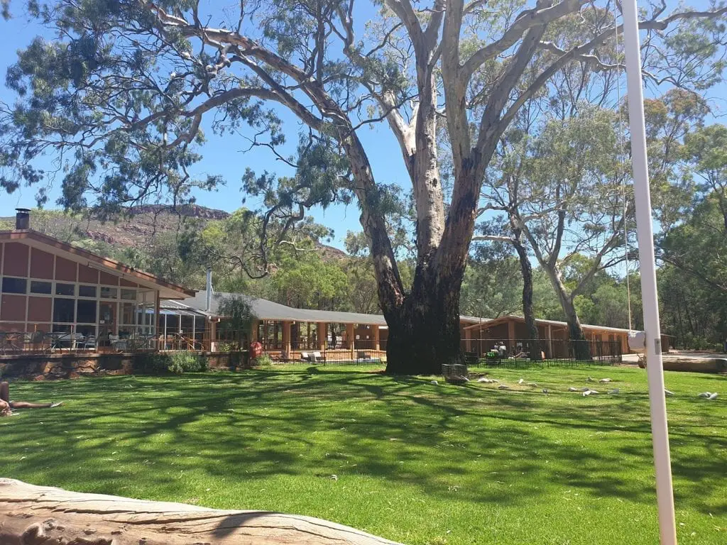 flinders ranges glamping