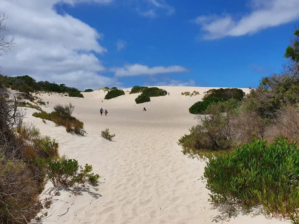 sand dunes kangaroo island itinerary