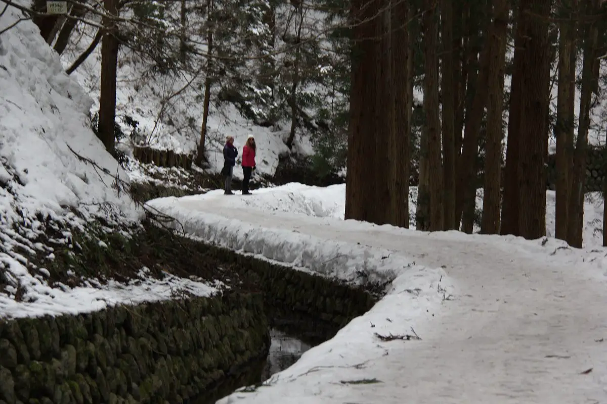 Hakuba to Snow Monkeys of Japan a unique encounter